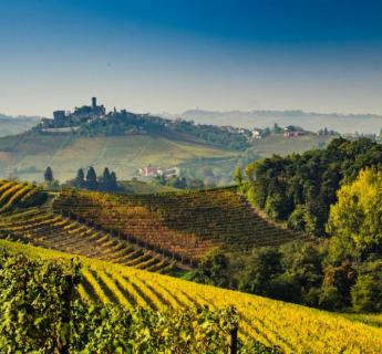 Emotional Experience Monferrato wine & truffle hunting
